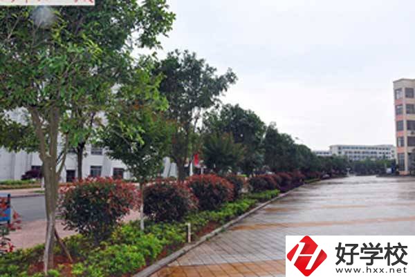 長(zhǎng)沙市電子工業(yè)學(xué)校開(kāi)設(shè)了哪些專業(yè)，附招生要求？