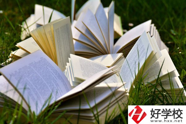 中方縣職業(yè)中等專業(yè)學(xué)校有什么專業(yè)？好不好？