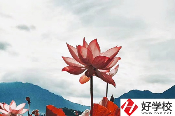 隆回華星職業(yè)技術(shù)學(xué)校有哪些專業(yè)？值得學(xué)生報(bào)考么？