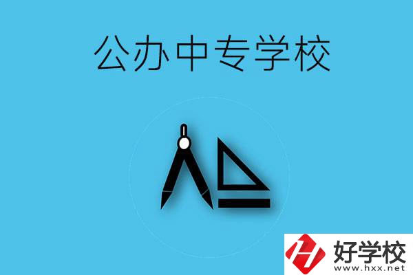 湘西有哪些公辦的中專(zhuān)學(xué)校？