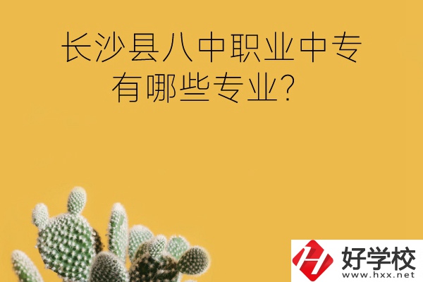 長(zhǎng)沙縣八中職業(yè)中專好不好？有哪些專業(yè)？