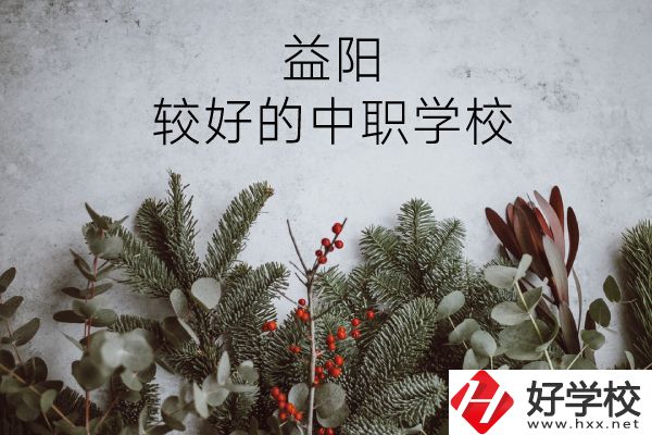 益陽有哪些中職學(xué)校比較好？
