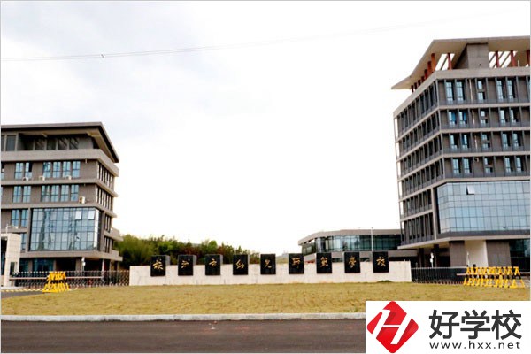 在株洲云龍職校城智慧路上有什么職校？