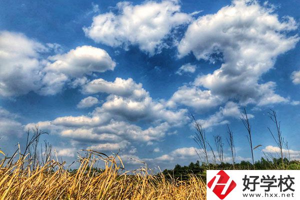 衡陽(yáng)市瀟湘衛(wèi)生中等專(zhuān)業(yè)學(xué)校有哪些特色專(zhuān)業(yè)？