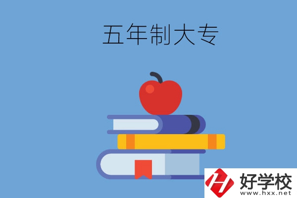 長沙開設教育類專業(yè)的五年制大專有哪些？