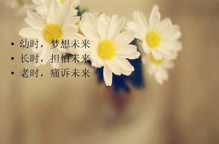2020年貴州自考農(nóng)業(yè)經(jīng)濟管理(專科)專業(yè)計劃