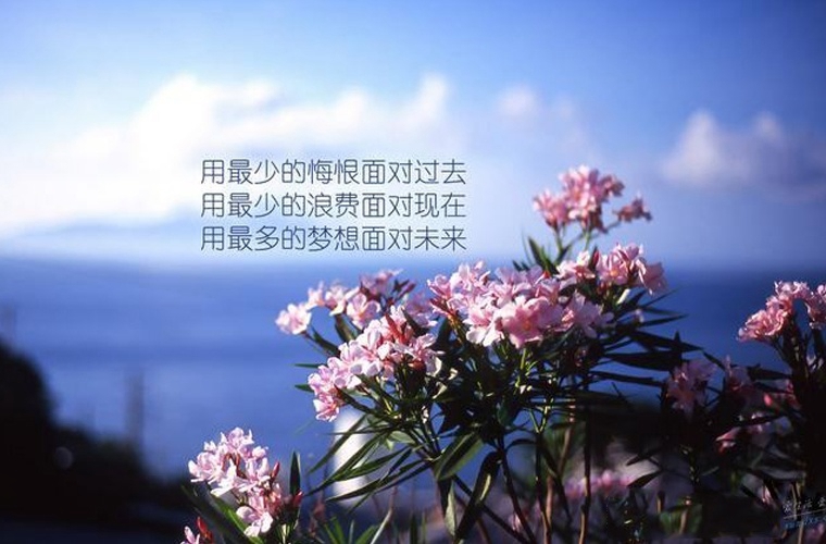 2024沈陽(yáng)排名靠前的公辦中職學(xué)校名單