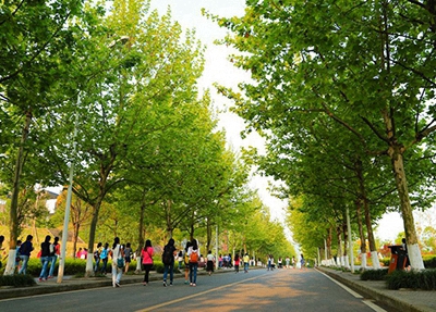 岳陽市商貿職業(yè)技術學校2024年學費多少？貴嗎？