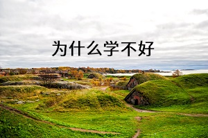 為什么學不好