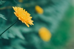 精做真題，查缺補漏