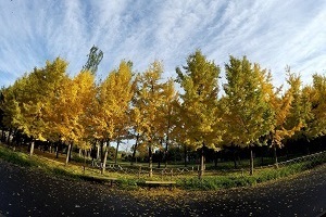 大專第三年才開始準(zhǔn)備普通專升本考試來得及嗎？該如何備考？