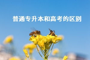 普通專(zhuān)升本和高考之間有什么差別？哪個(gè)更難考？
