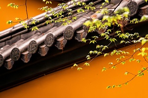 普通專升本備考的第一步是先擇校還是先選專業(yè)？