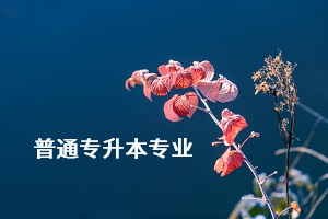 荊楚理工學(xué)院專升本的專業(yè)有哪些？專業(yè)考試難不難？