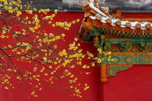 全日制普通專升本和本科有區(qū)別嗎？哪些地方是不同的？