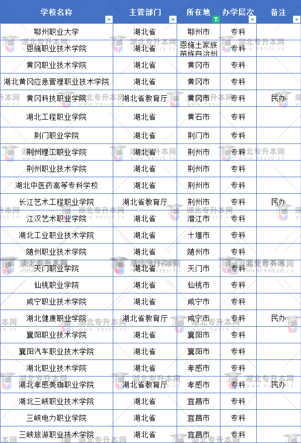 武漢市外的?？茖W(xué)校