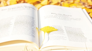 專(zhuān)升本考試備考復(fù)習(xí)